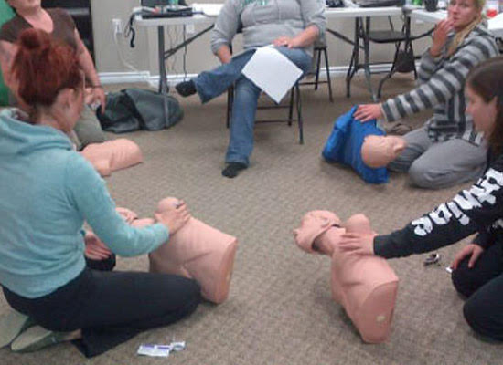 A group of students with CPR training dummies.