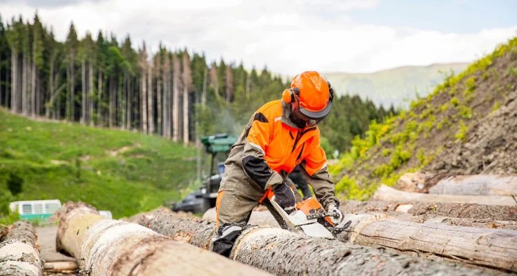 A forestry worker in safety gear, including a bright orange helmet and jacket, uses a chainsaw to cut logs in a forest clearing. Large felled trees are spread out, and a dense green forest with tall trees stands in the background. The worker is focused on cutting through one of the logs.